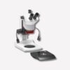 Stereozoom Binocular Microscope