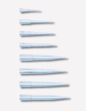 MSI 85 - Ultra Violet Fluorescence Viewing Cabinet