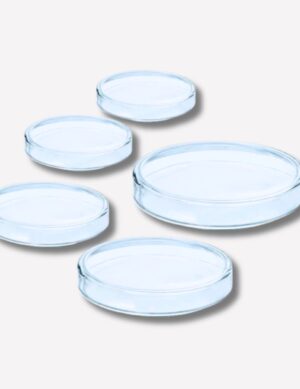 Borosilicate Glass Petri Dish for Chemical Laboratory