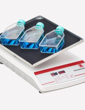 Rocking & Waving Shakers