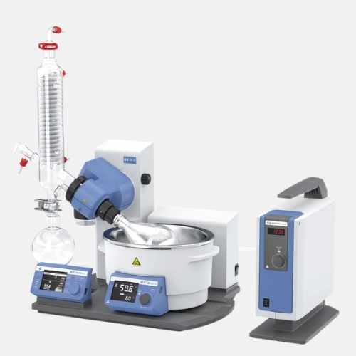 RV 10 Auto Pro V